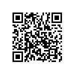 RT1206BRC073KL QRCode