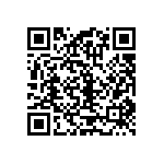 RT1206BRC0743R2L QRCode