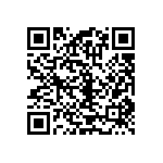 RT1206BRC076K04L QRCode