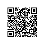 RT1206BRC07976KL QRCode