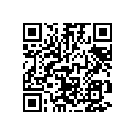 RT1206BRD07127KL QRCode