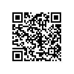 RT1206BRD0728R7L QRCode