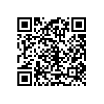 RT1206BRD07453KL QRCode