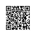 RT1206BRE07453RL QRCode