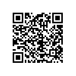 RT1206CRB071K96L QRCode