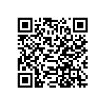 RT1206CRB0723K2L QRCode