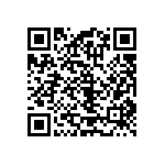 RT1206CRB07300KL QRCode