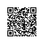 RT1206CRB07301KL QRCode