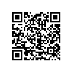 RT1206CRB07412RL QRCode