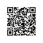 RT1206CRB0743K2L QRCode