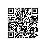 RT1206CRB07487KL QRCode