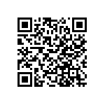 RT1206CRB07866KL QRCode