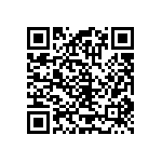 RT1206CRC07137KL QRCode