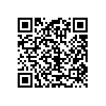 RT1206CRC0743R2L QRCode