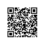 RT1206CRC07953RL QRCode