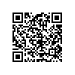 RT1206CRD079K31L QRCode