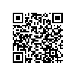 RT1206CRE071K13L QRCode