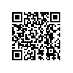 RT1206CRE07300KL QRCode