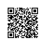 RT1206DRD07287KL QRCode