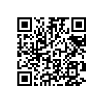 RT1206DRD0729K4L QRCode