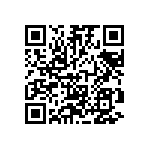 RT1206DRD07309RL QRCode