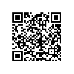 RT1206DRD07383KL QRCode