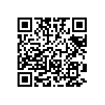 RT1206DRD074K3L QRCode