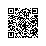 RT1206FRD071K33L QRCode