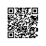 RT1206FRD073K3L QRCode