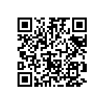 RT1206FRD077K32L QRCode