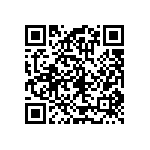 RT1206FRE071K96L QRCode