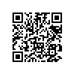 RT1206FRE078K87L QRCode