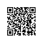 RT1206WRB07133RL QRCode