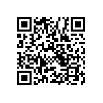 RT1206WRB07300RL QRCode