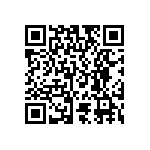 RT1206WRD0733K2L QRCode