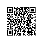 RT1210BRD0717K4L QRCode