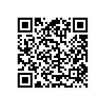 RT2010DKE07165RL QRCode