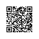 RT2010DKE071K13L QRCode