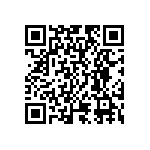 RT2010DKE0725R5L QRCode