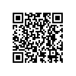 RT2010DKE073K48L QRCode