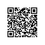 RT2010DKE07825RL QRCode