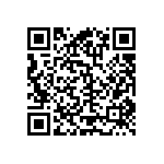 RT2010FKE0717R8L QRCode