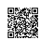 RT2010FKE0797R6L QRCode