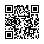 RT22C2L502 QRCode