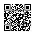 RT22C2P103 QRCode