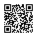 RT22C2W101 QRCode