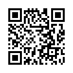 RT22C2X500 QRCode