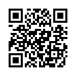 RT22C2X502 QRCode