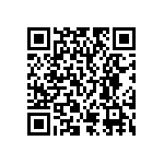 RT2512BKE071K87L QRCode