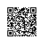 RT2512BKE0790R9L QRCode